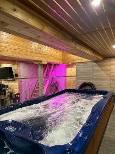 Sauna in Hamilton (Dundas) - Spa, Hamam, Sauna, Pool, Hottub